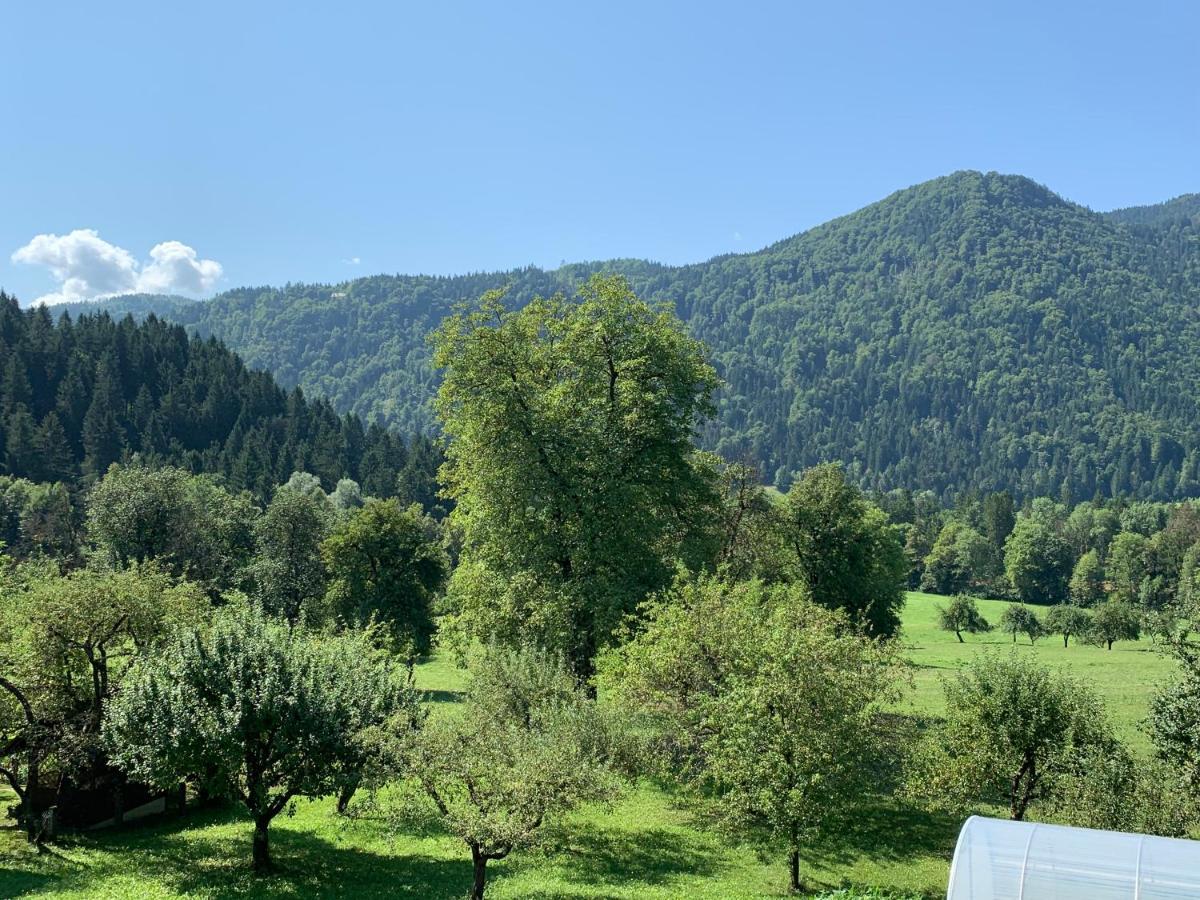Sobe U Sirrc Bed & Breakfast Bled Bagian luar foto