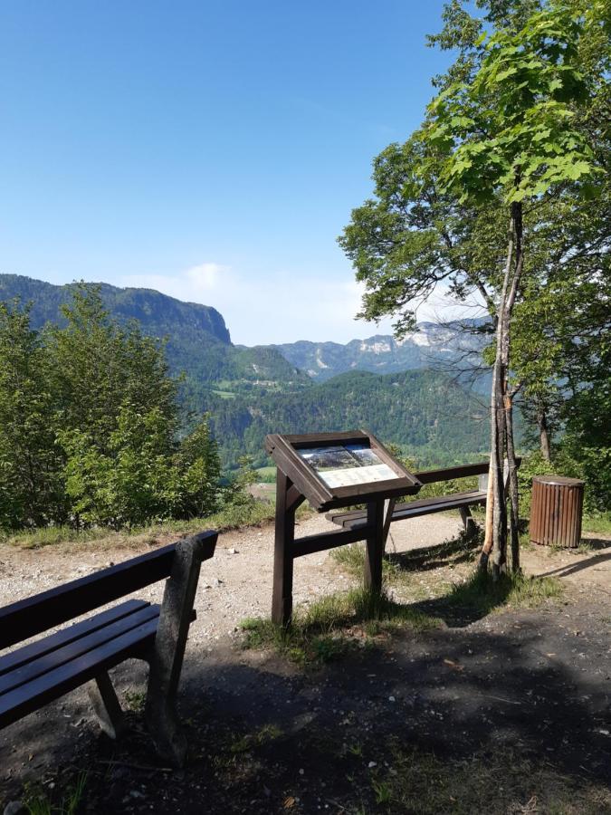 Sobe U Sirrc Bed & Breakfast Bled Bagian luar foto