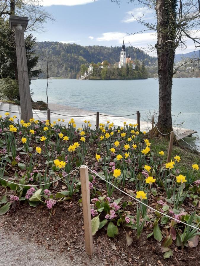Sobe U Sirrc Bed & Breakfast Bled Bagian luar foto