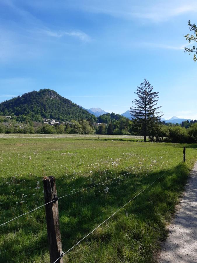 Sobe U Sirrc Bed & Breakfast Bled Bagian luar foto