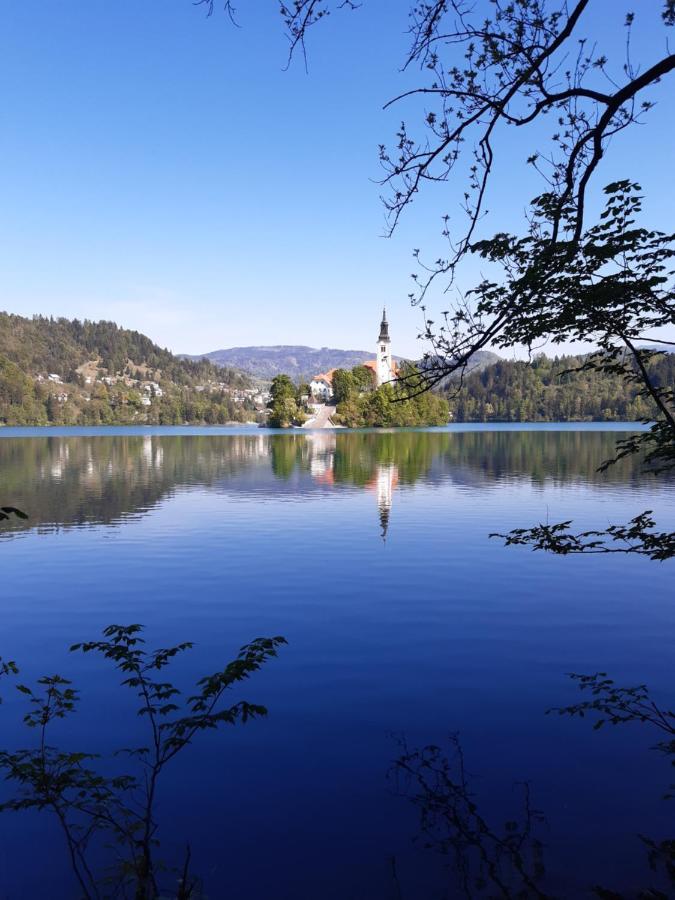 Sobe U Sirrc Bed & Breakfast Bled Bagian luar foto