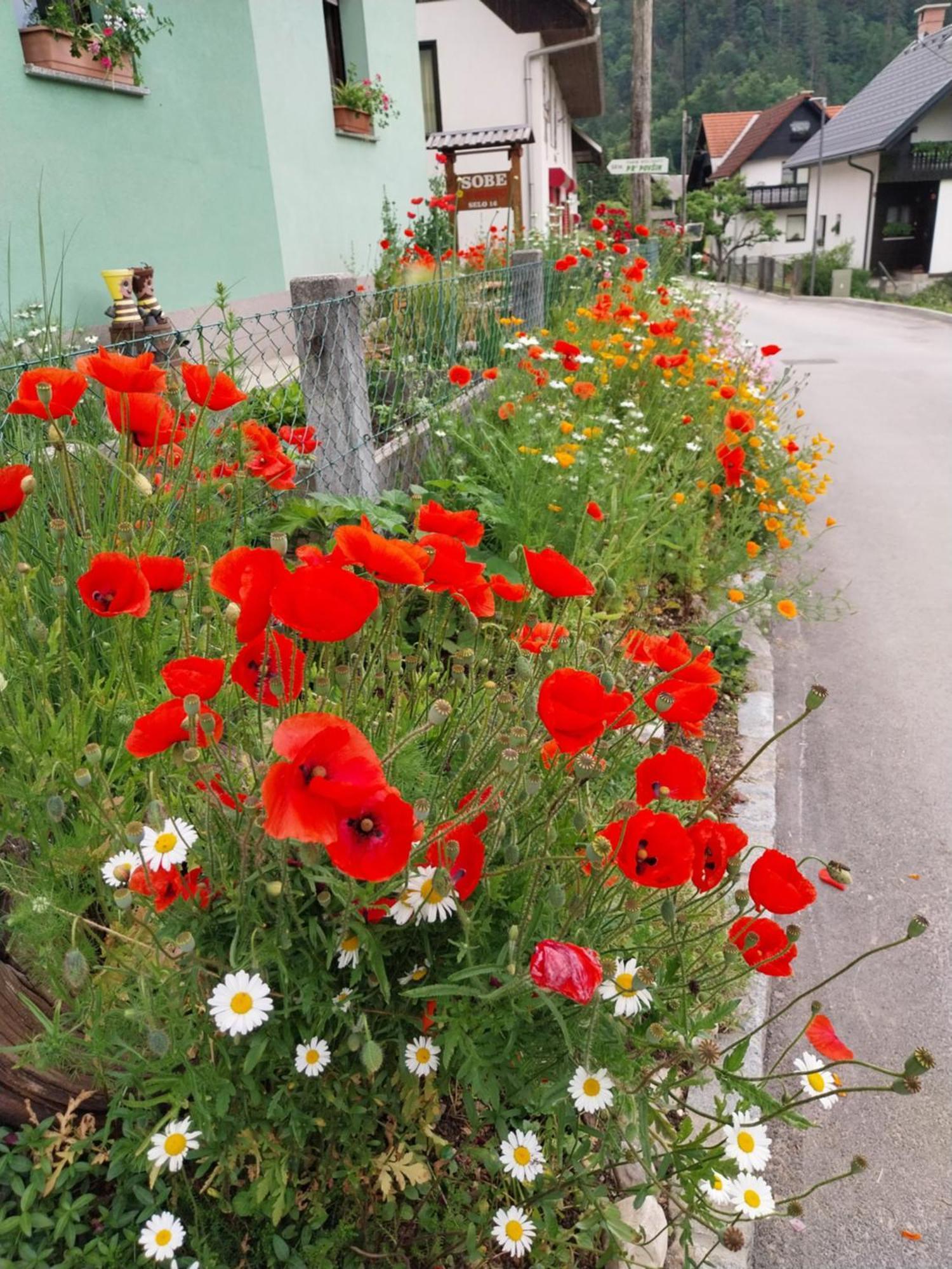 Sobe U Sirrc Bed & Breakfast Bled Bagian luar foto